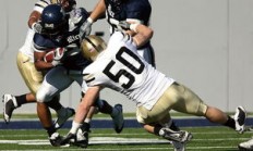 华体会登录-帕尔梅拉斯迎战鹿岛鹿角，防守反击或成致胜关键