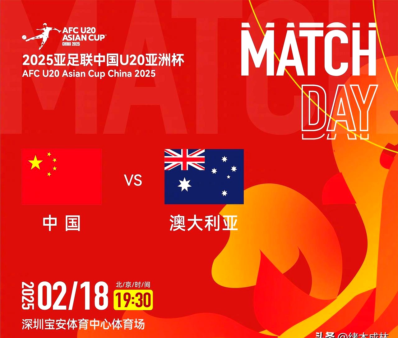 挑战自我：澳大利亚队员勇夺铜牌